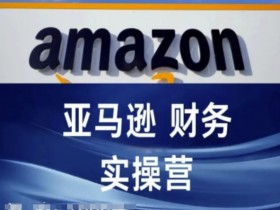 亚马逊成人用品项目怎么样，从盈利模式到市场机会的全面解析