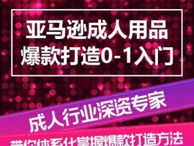 亚马逊成人用品项目怎么样，从盈利模式到市场机会的全面解析