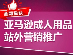 亚马逊成人用品项目怎么样，从盈利模式到市场机会的全面解析