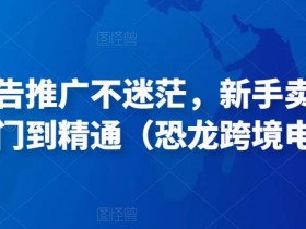 亚马逊成人用品大类目竞争分析，如何抢占市场先机？