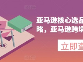 亚马逊成人用品行业的新手入门，从政策到运营的全面教学