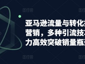 亚马逊成人用品行业的新手入门，从政策到运营的全面教学