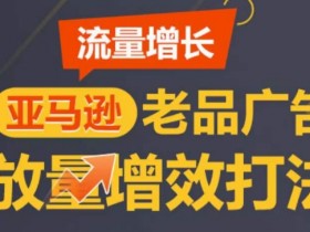 亚马逊成人用品广告预算怎么分配，小预算获取高收益的投放策略