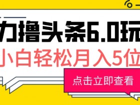 2025年今日头条纯搬运玩法，无需改写的100%原创赚钱技巧