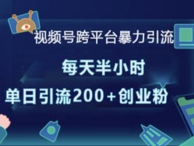 视频号分成计划的冷门玩法，如何用创新内容突破收益天花板？