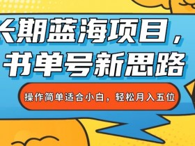 冷门书单号项目拆解，适合小白入门的高收益玩法