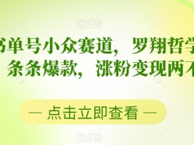 书单号蓝海项目收益解析，从引流到变现的全流程