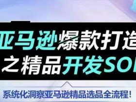 如何用数据指导亚马逊运营，新手必学的分析技巧