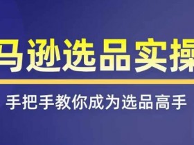 亚马逊电商入门完整教程，手把手带你运营店铺