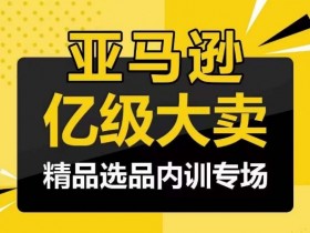 亚马逊电商入门完整教程，手把手带你运营店铺