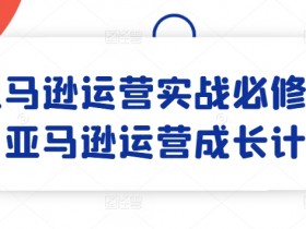 亚马逊新手如何优化广告，降低成本提高转化的技巧