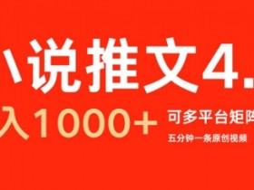 小说推文收益最高的平台有哪些，平台对比与优劣势分析