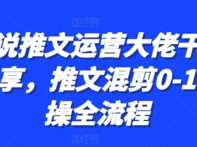 如何提高小说推文混剪视频的转化率，流量变现全攻略