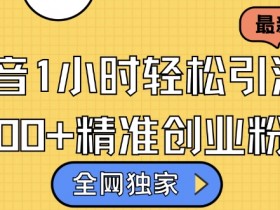 抖音营销成功案例解析，品牌如何实现短视频爆发式增长？