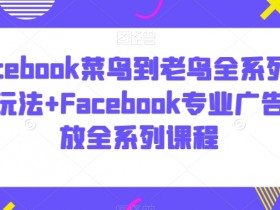 全网最新Facebook广告投放实战教学，新手广告投放速成课