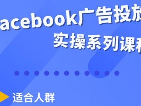 全网最新Facebook广告投放实战教学，新手广告投放速成课