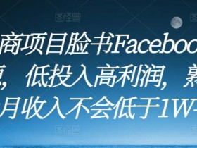 全网最新Facebook广告投放实战教学，新手广告投放速成课