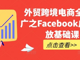 全网最新Facebook广告投放实战教学，新手广告投放速成课