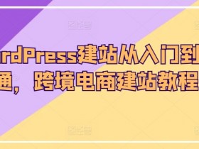 迪拜电商市场竞争如何脱颖而出，2025年在迪拜电商市场竞争的策略