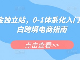 迪拜跨境电商支付系统如何高效管理，高效管理迪拜跨境电商支付的策略