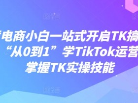 迪拜跨境电商行业报告如何解读，2025年迪拜电商行业报告解读