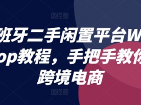 迪拜电商平台选择如何挑选最佳，选择最适合的迪拜跨境电商平台