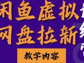 夸克拉新推广策略的创新与提升，创新策略助力夸克拉新推广效果