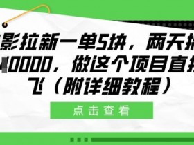 夸克拉新推广码申请人数图，如何查看夸克拉新推广码的申请人数