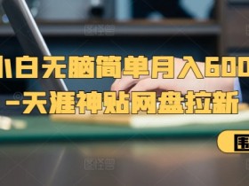 夸克网盘拉新怎么算新用户，如何定义夸克网盘的新用户标准