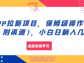 夸克拉新收益分析，夸克拉新收益如何计算与提升