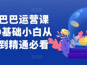 国际站运营技能提升技巧，通过提升技能达到国际站运营的职业目标