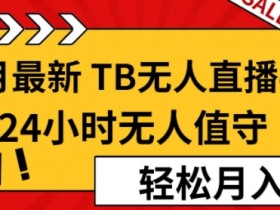 虚拟直播间的运营与管理要点，管理虚拟直播间运营的关键因素与技巧