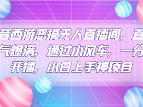 虚拟直播间的运营与管理要点，管理虚拟直播间运营的关键因素与技巧