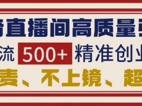 虚拟直播间的运营与管理要点，管理虚拟直播间运营的关键因素与技巧