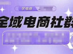 全域电商运营培训班，参加全域电商运营培训班学会高效管理电商业务