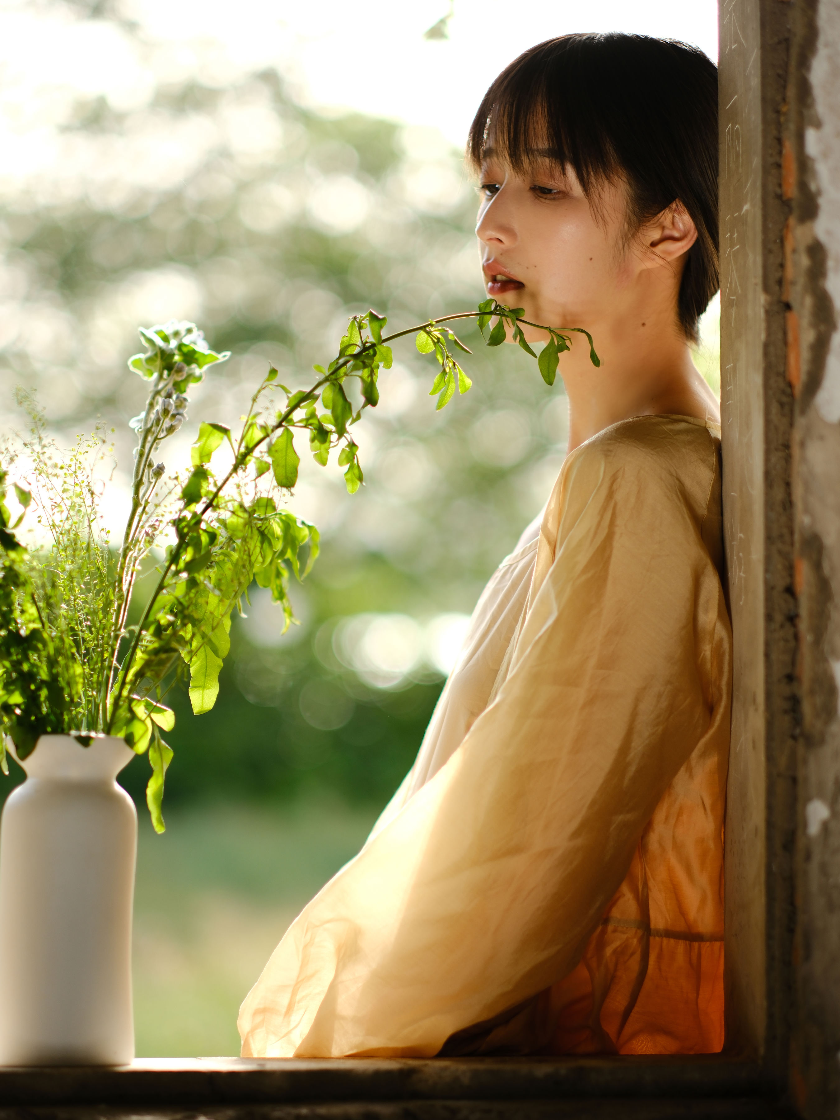 伴着微风和黄昏 森系 绿色 绝色 小清新 治愈系 养眼 唯美 伤感 夕阳