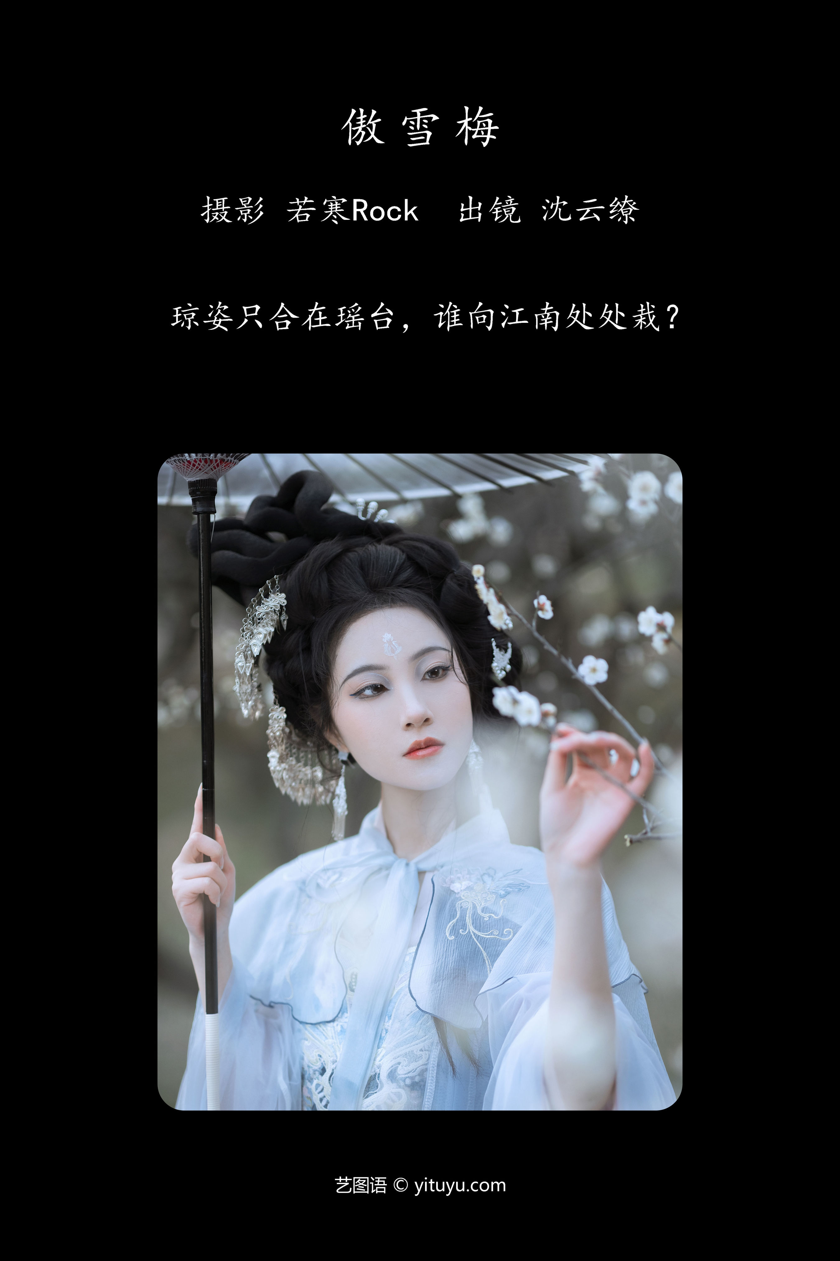 傲雪梅 古风 花 梅花 美人 人像 意境 中国风