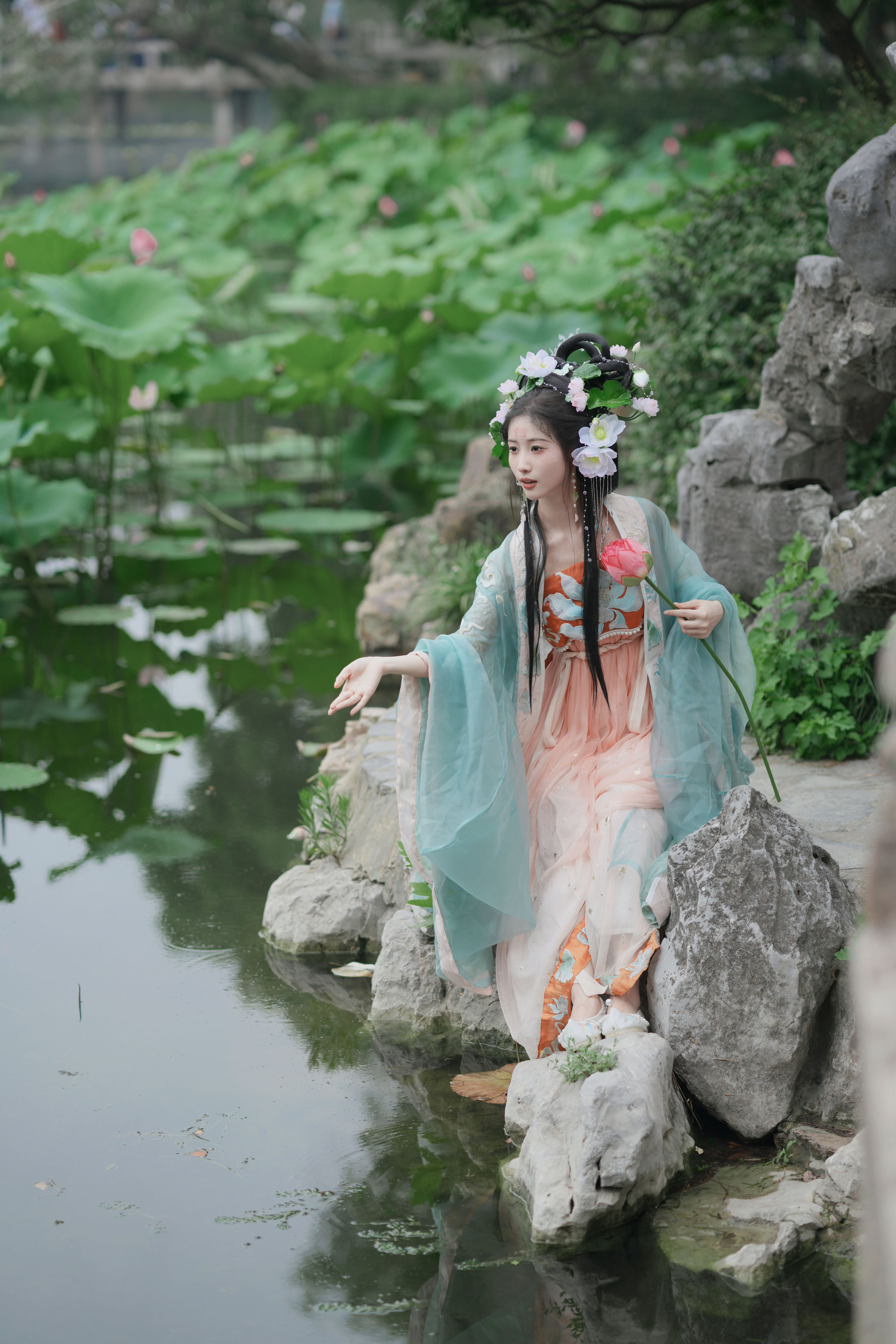 十二花神之荷花花神 古装 汉服 小仙女 美人 小姐姐 荷花 女神