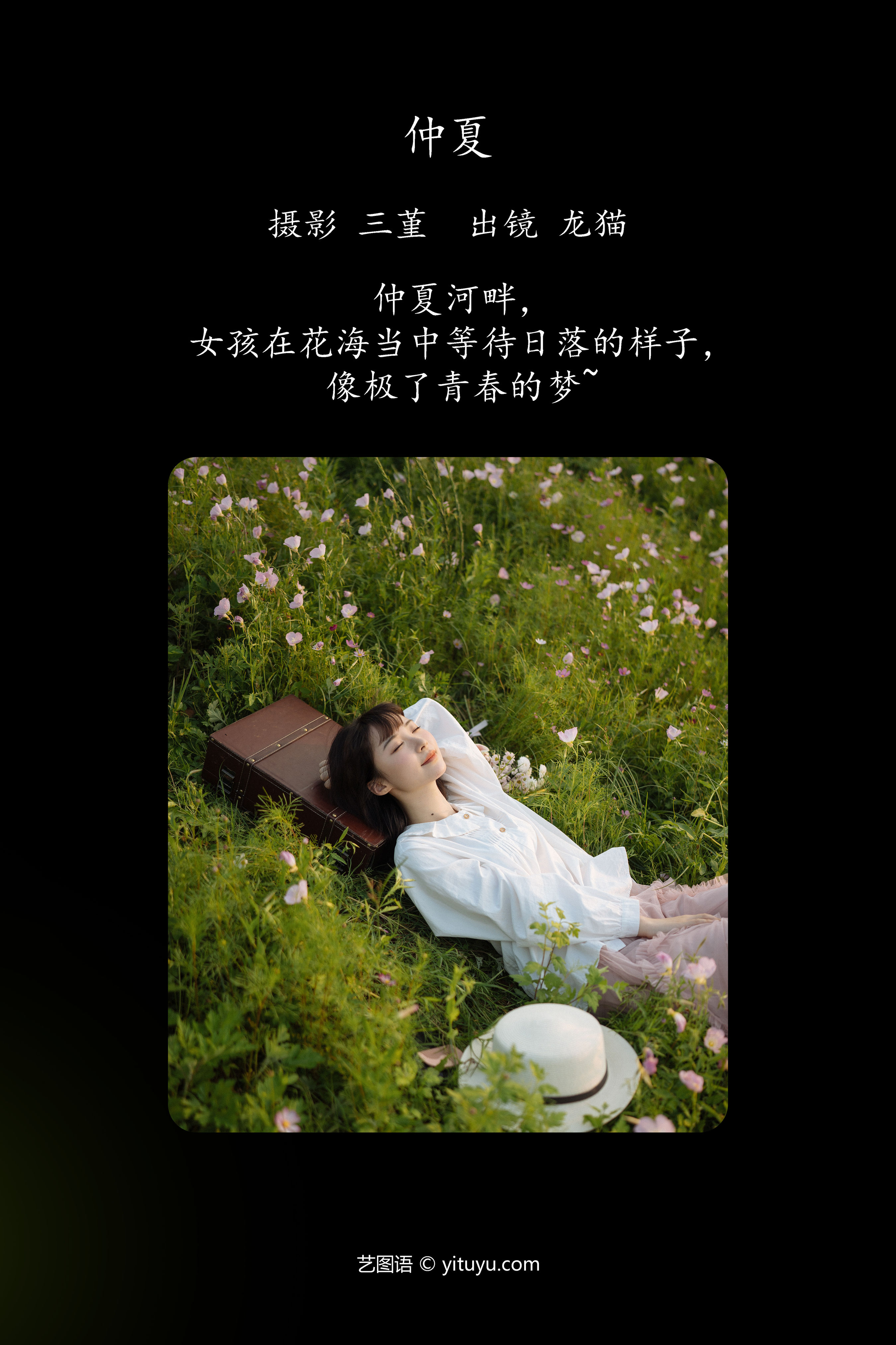 仲夏 小清新 文艺 治愈系 摄影 花 美图 唯美 夏天 青春