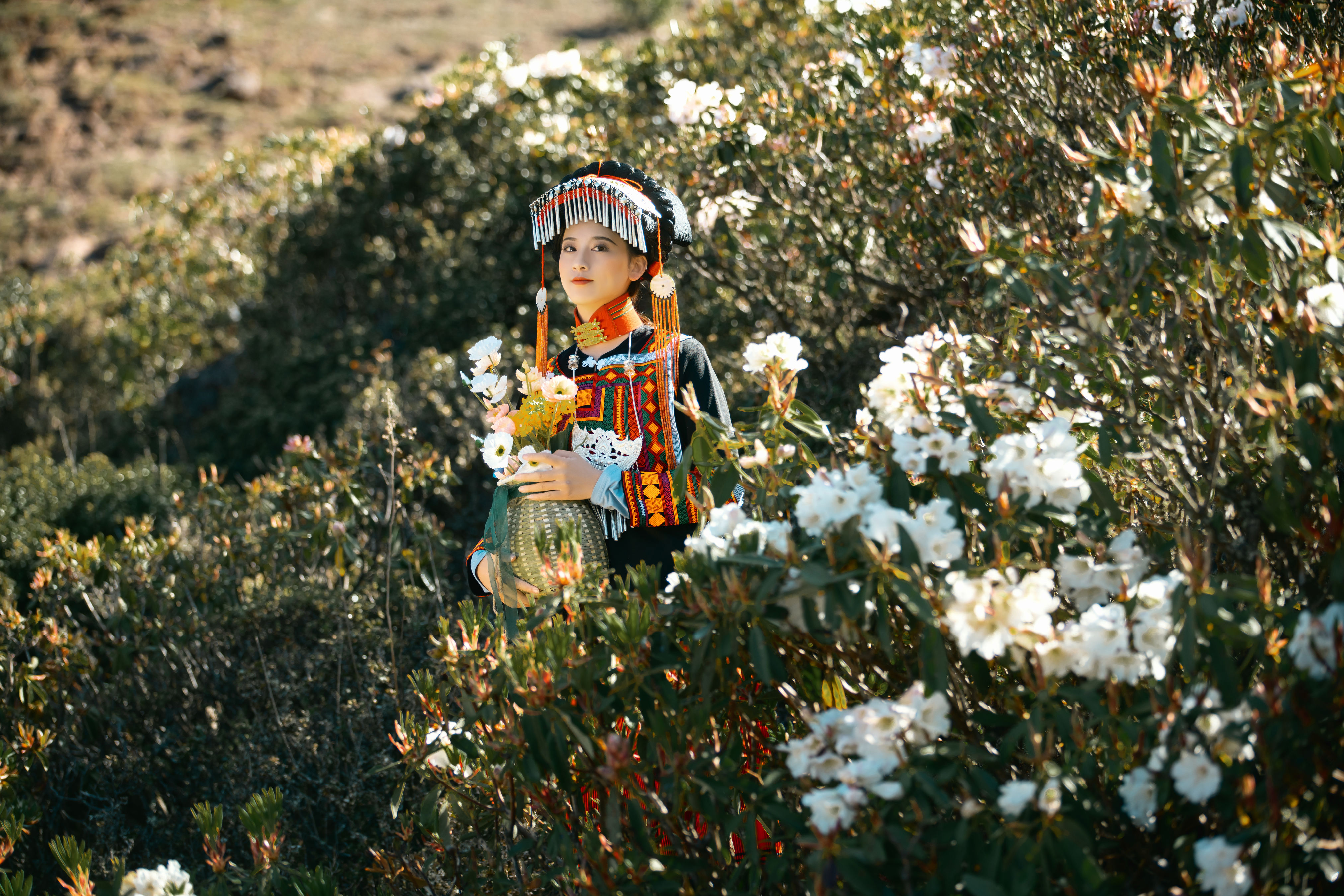 繁花