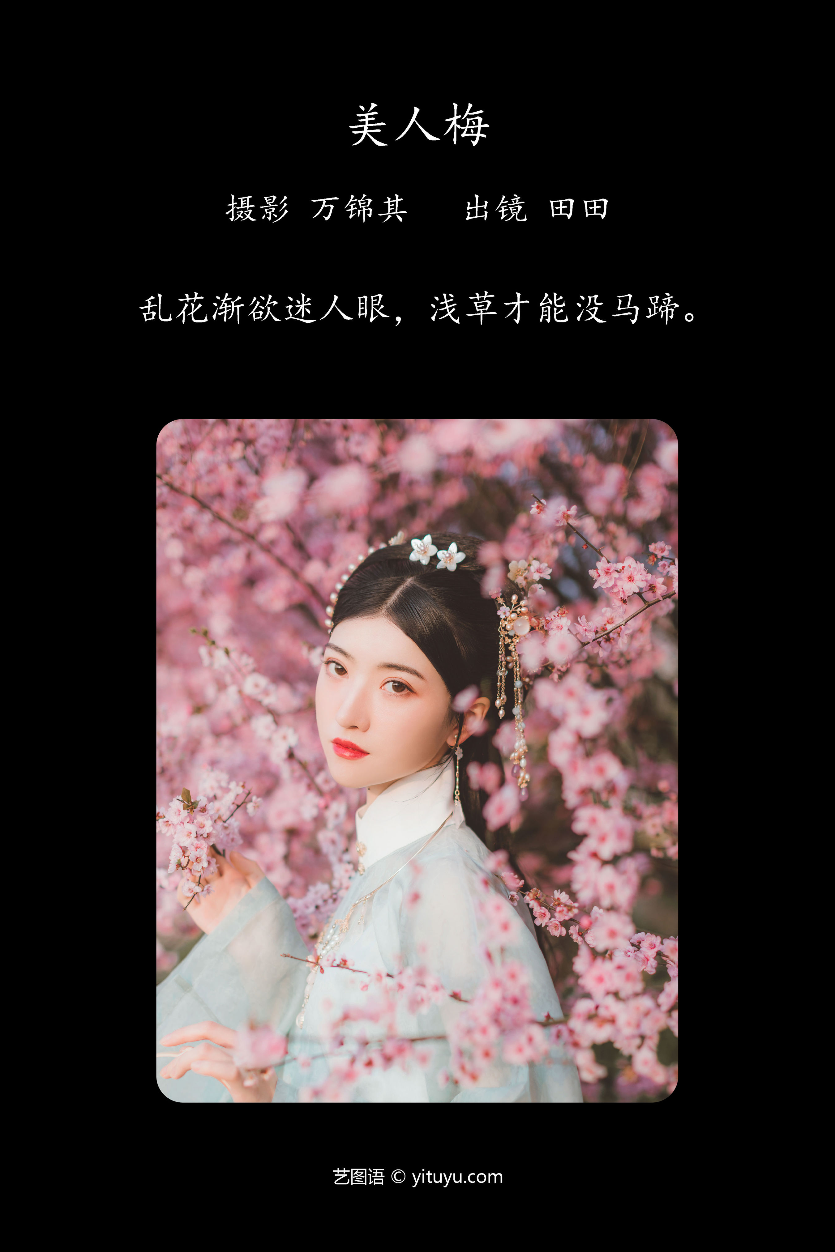 美人梅 古风 美人 梅花 摄影 优美 美图 唯美