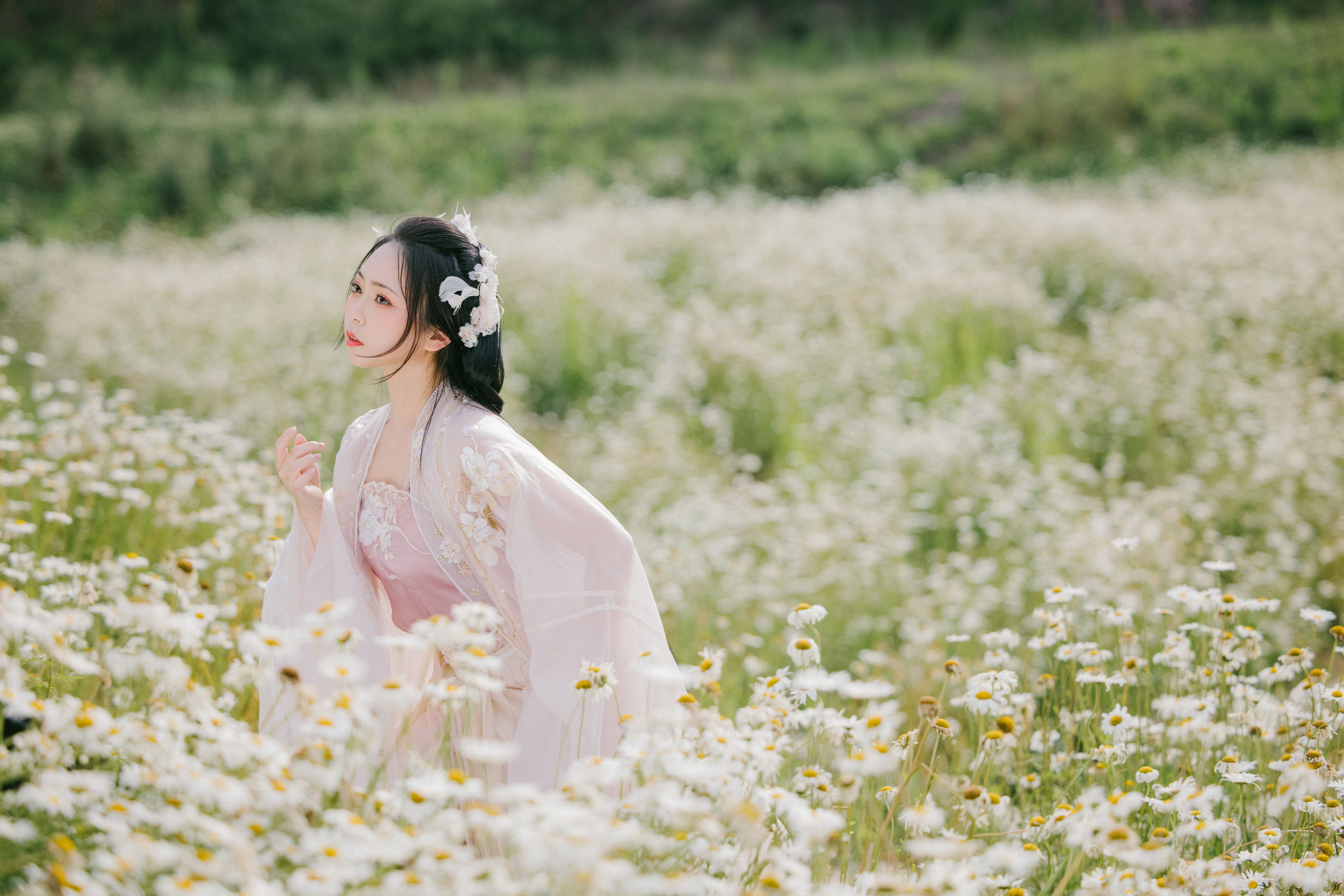 雏菊花海 汉服 古装 美人 小姐姐 花 温柔