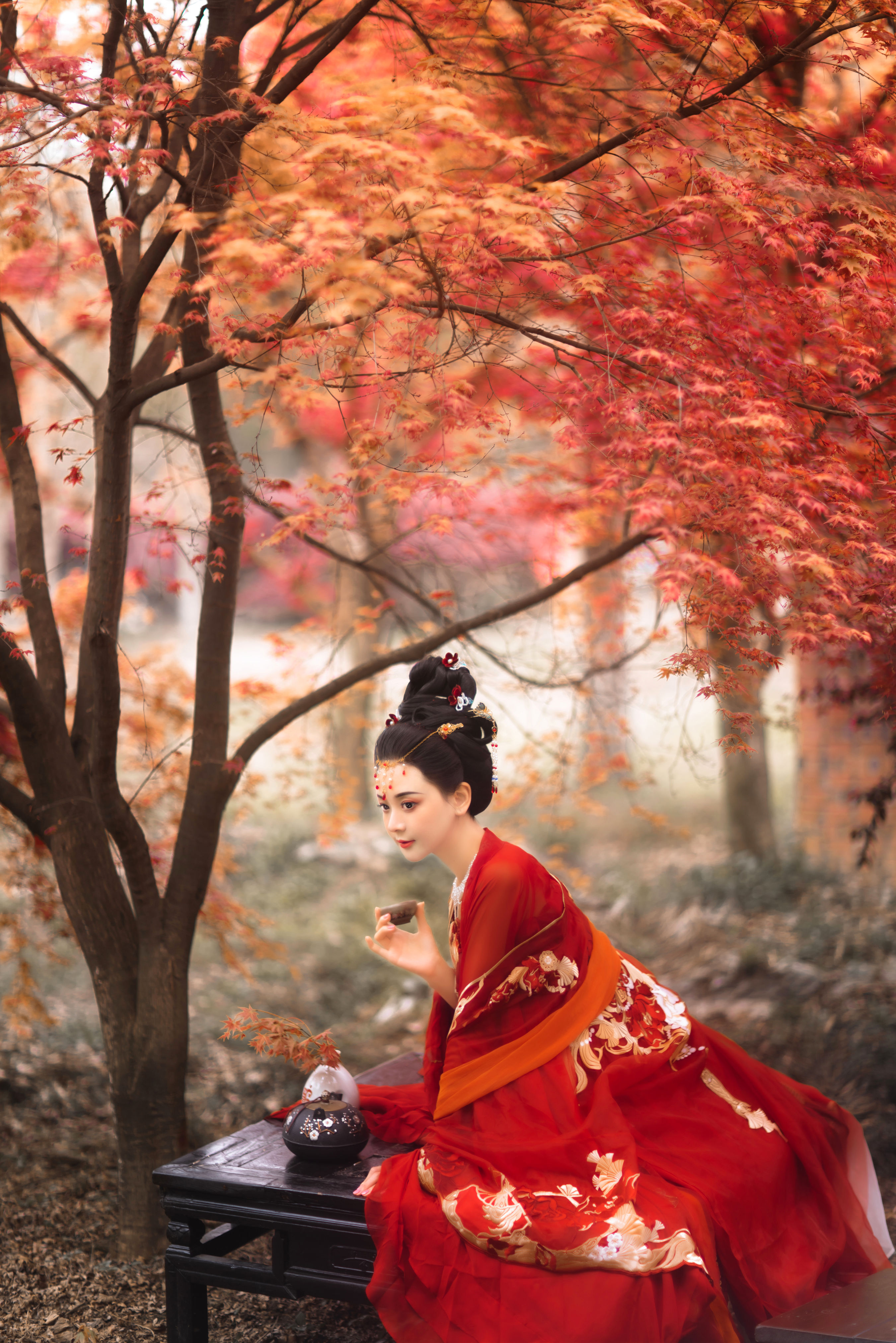 春不老 古典 意境 中国风 古风 唯美 禅意 红色 树林 枫树 枫叶