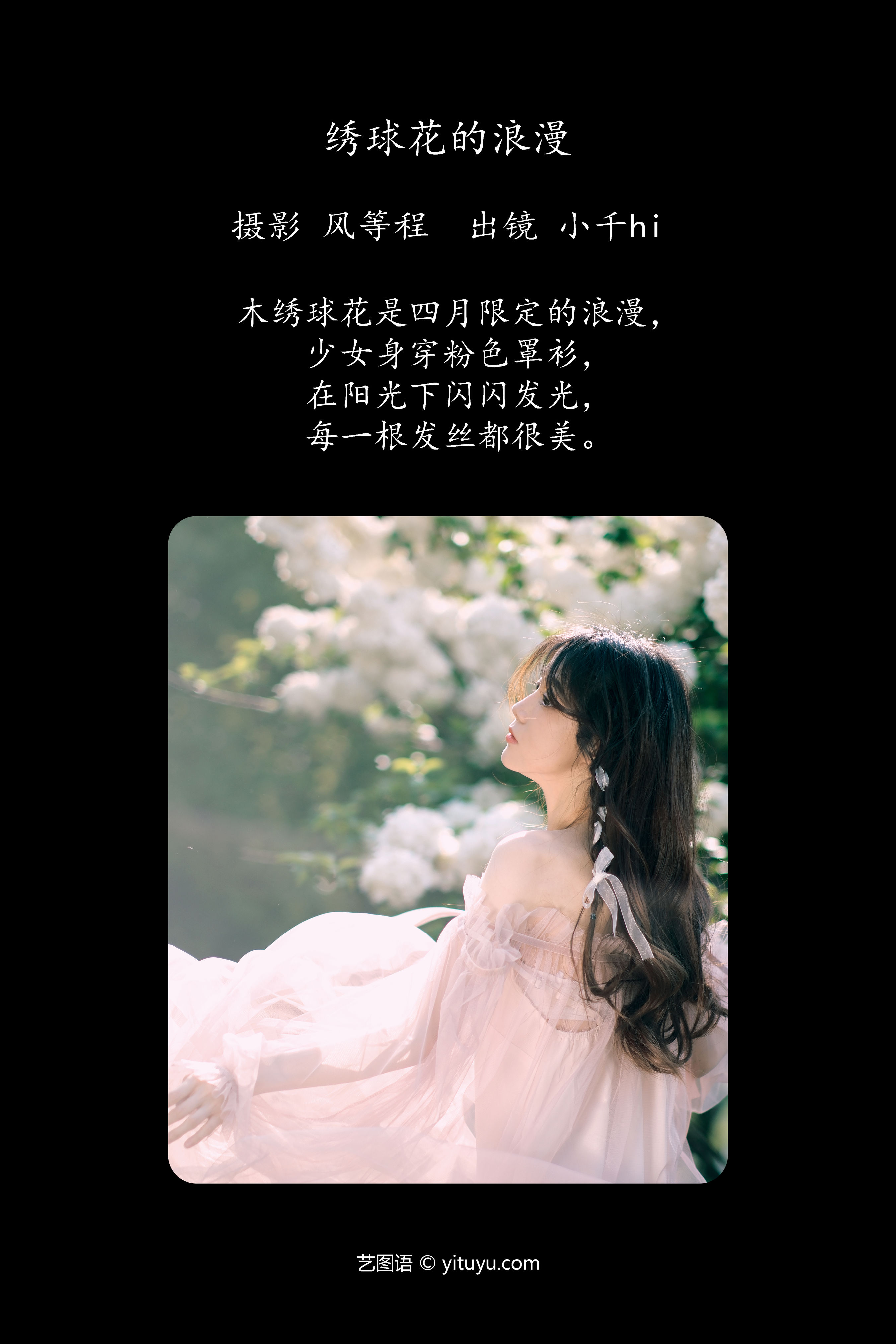 绣球花的浪漫 花 浪漫 少女 小清新 摄影 养眼 漂亮 绣球花