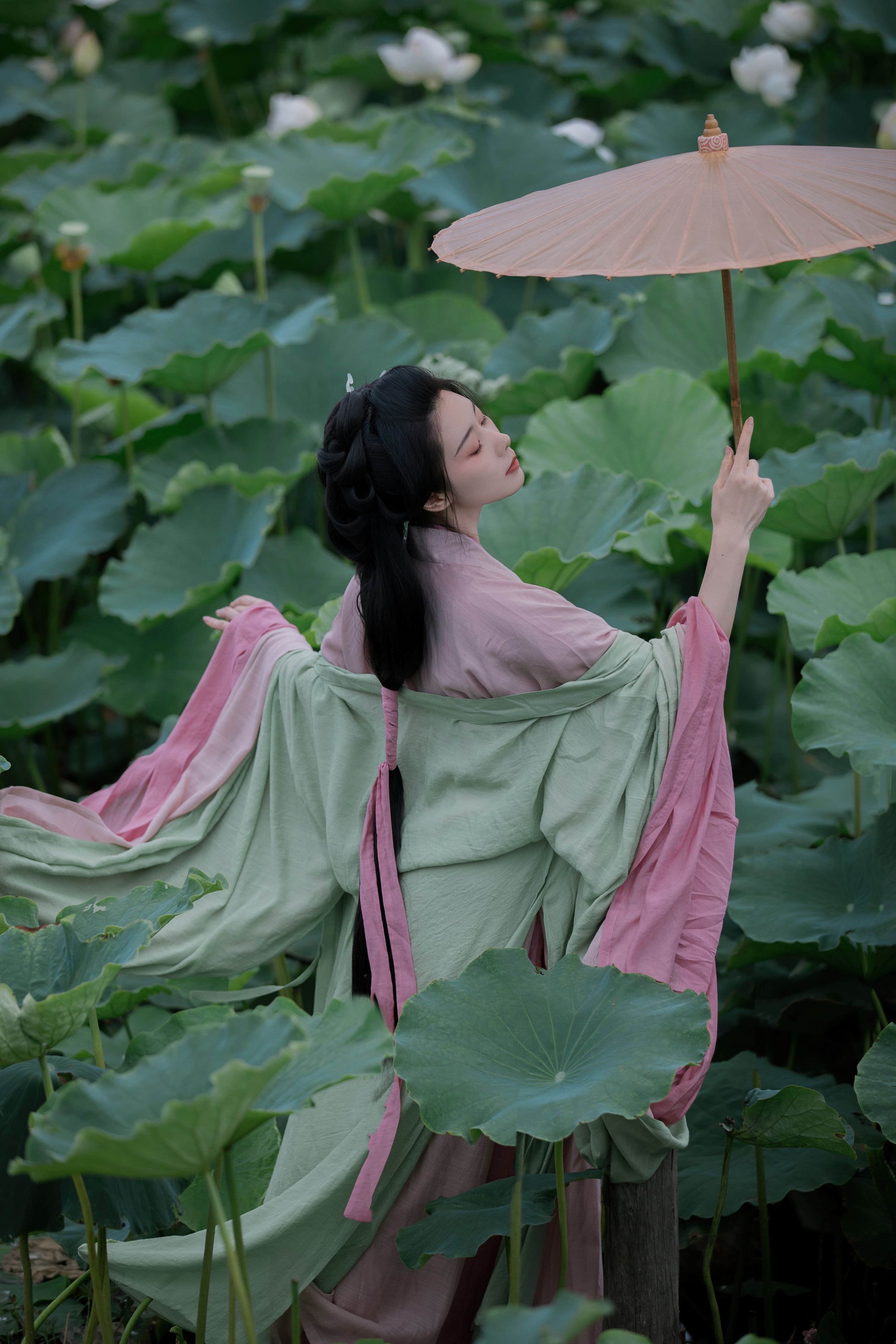 碧波游 古风 美人 模特 荷花 优美 人像