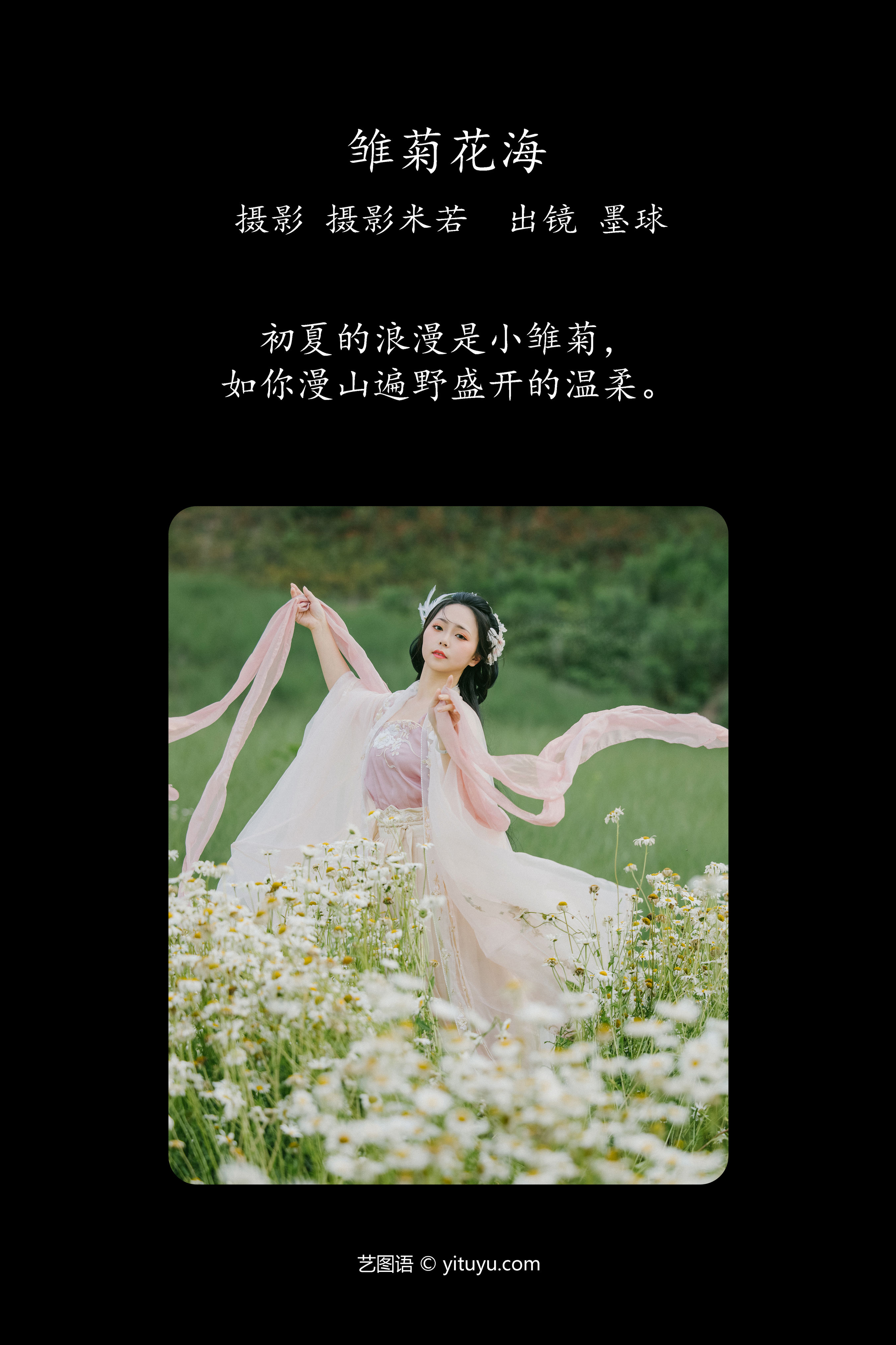 雏菊花海 汉服 古装 美人 小姐姐 花 温柔