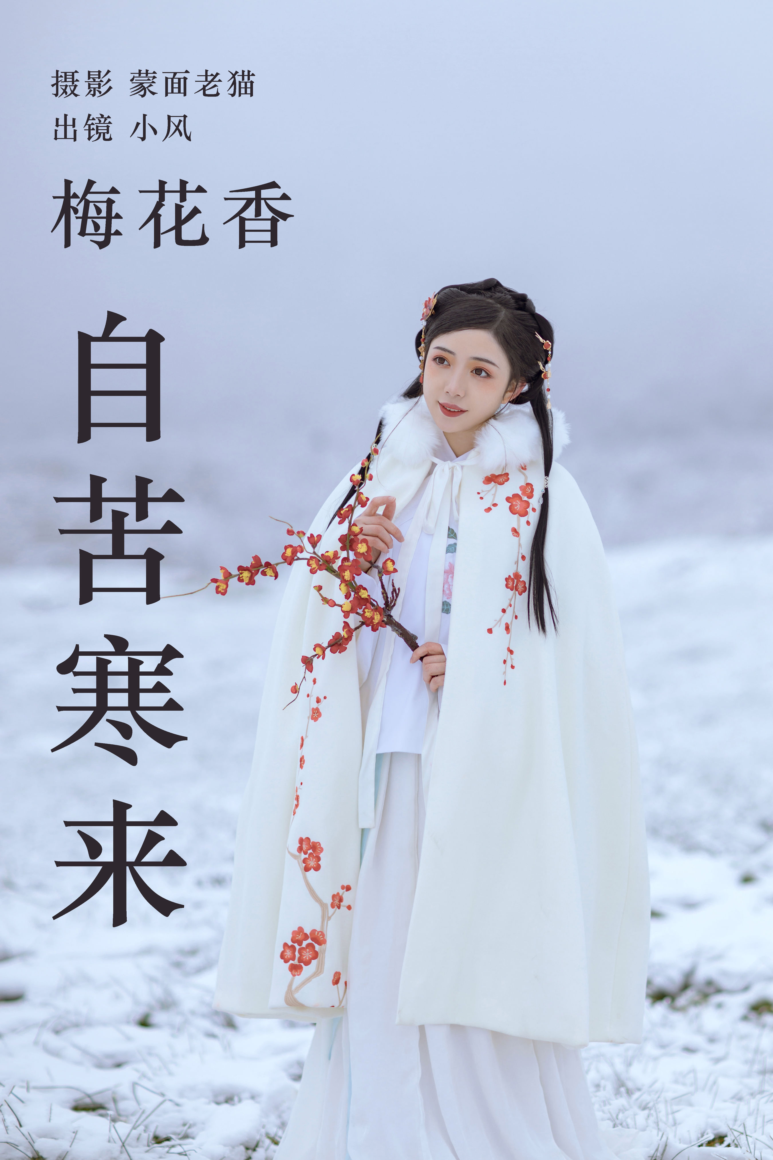 梅花香自苦寒来 冬天 雪景 汉服 花 少女