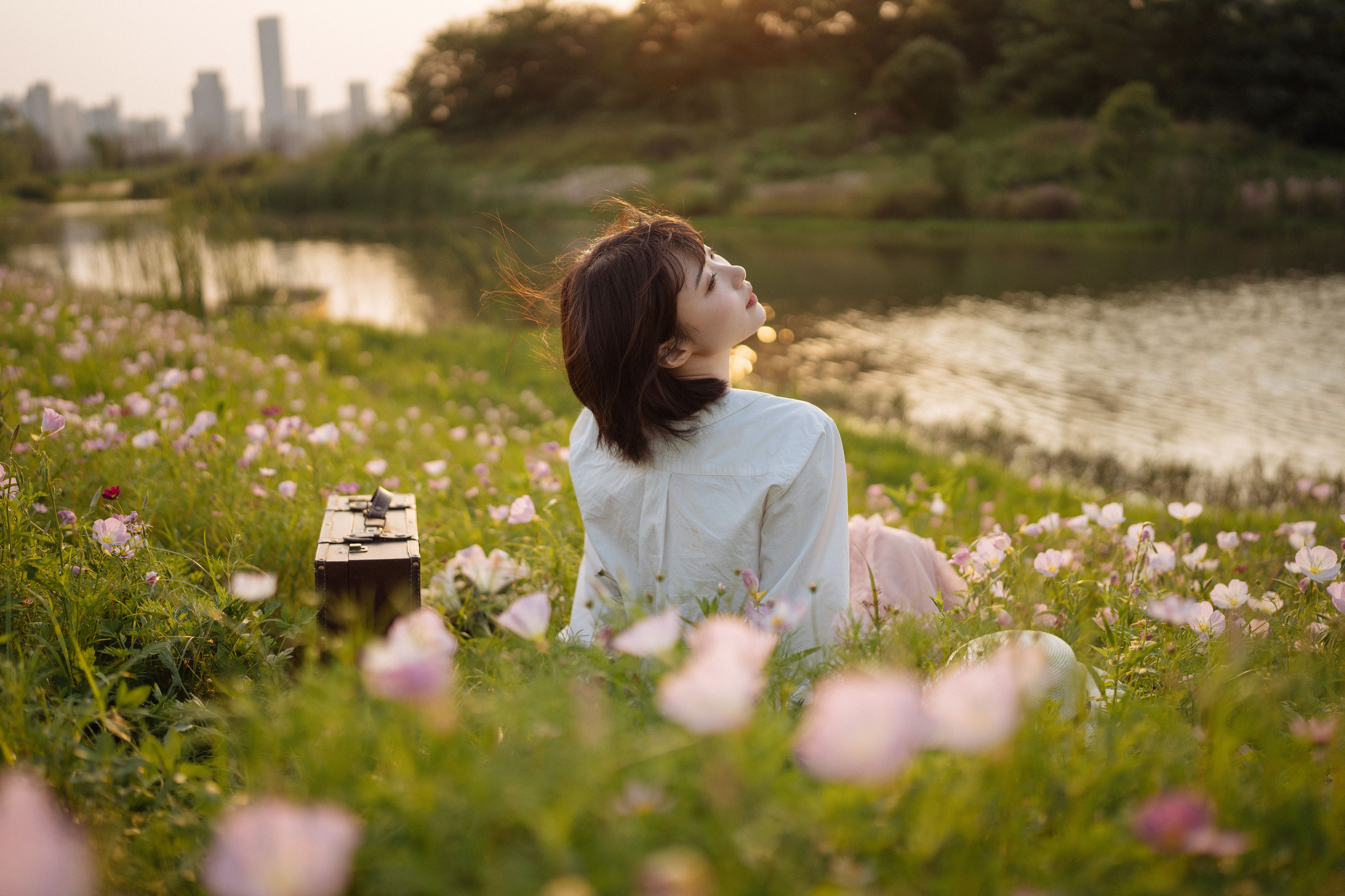 仲夏 小清新 文艺 治愈系 摄影 花 美图 唯美 夏天 青春