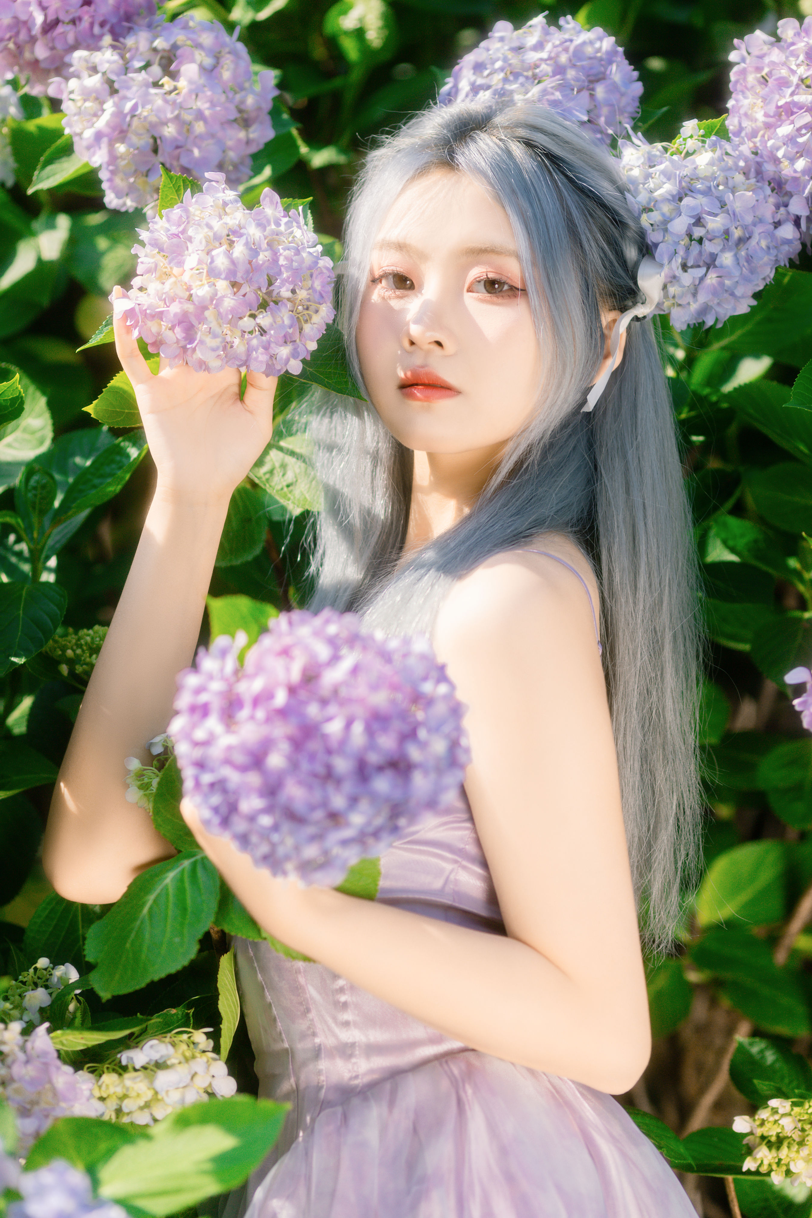 木绣球 小清新 少女 精美 养眼 花 绣球花 夏天