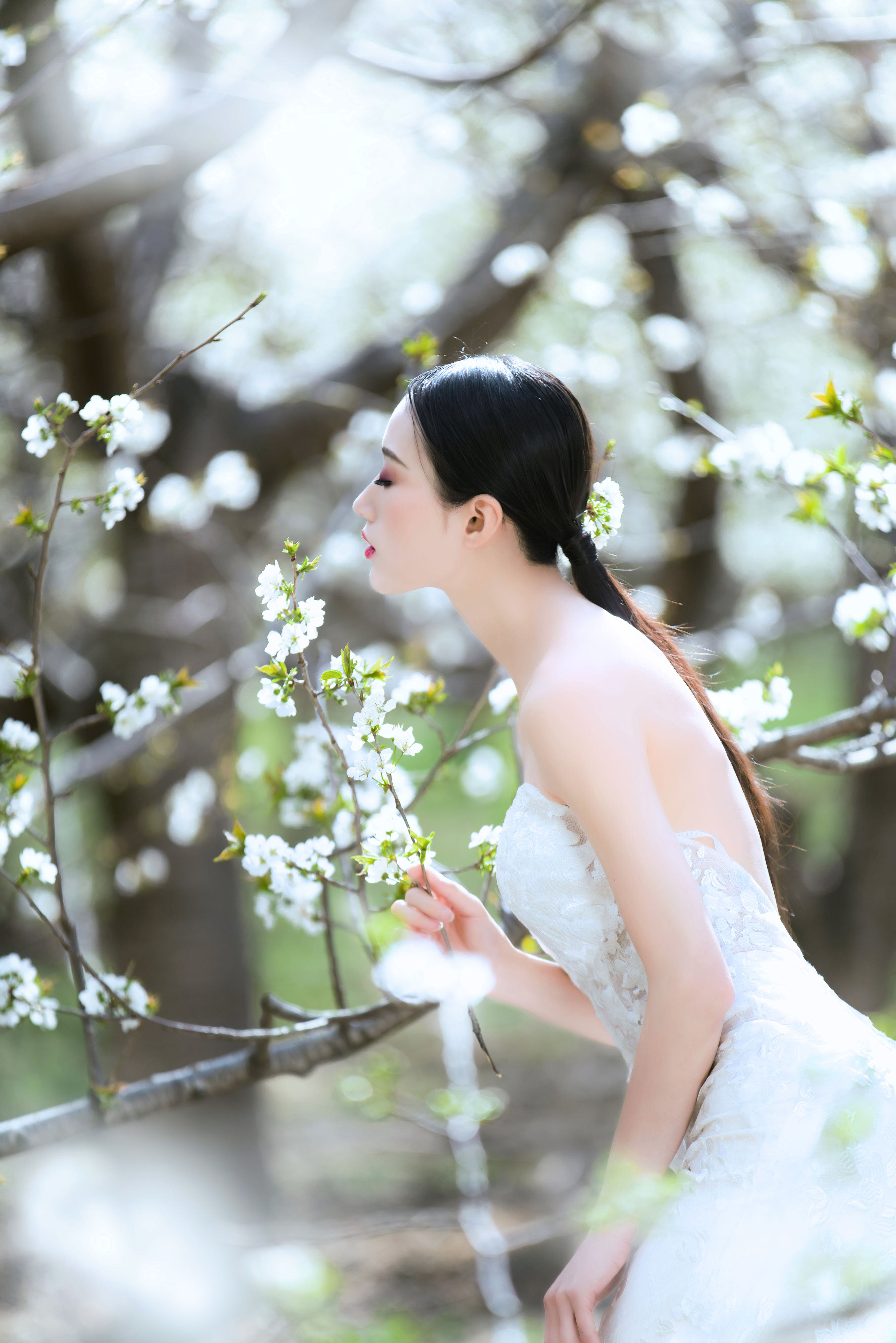 花季 梨花 写真 人像 气质美女